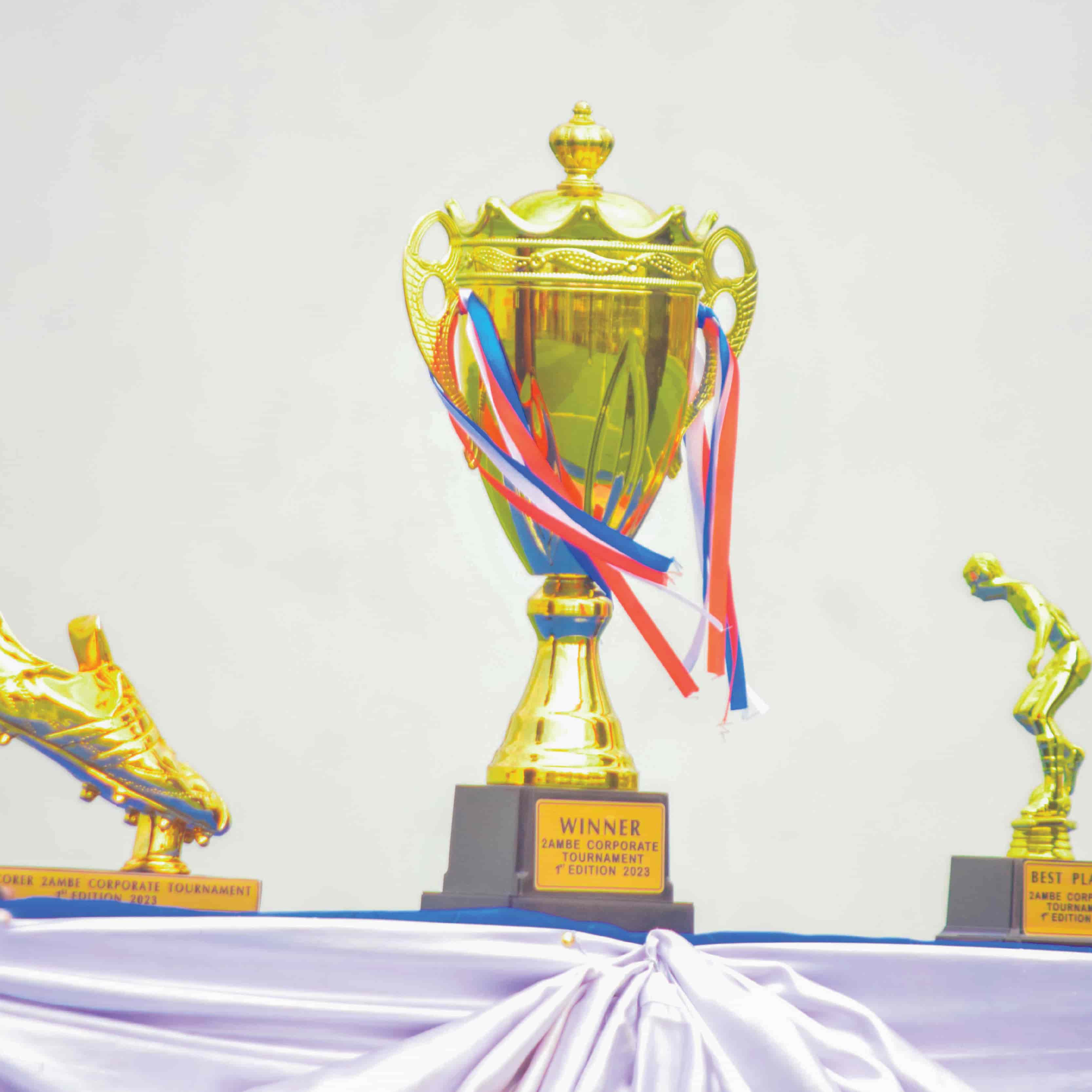 image 1 and 2 are of an artificail turf playing ground with soccer ball, image of artificial playing turf with soccer ball and image 3 is a trophy with golden boot and golden glove by its sides